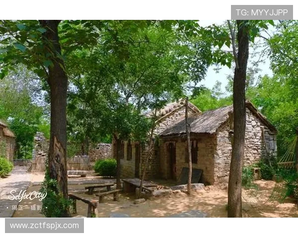 宁波町渥：探索江南水乡的历史文化与现代发展交融之地