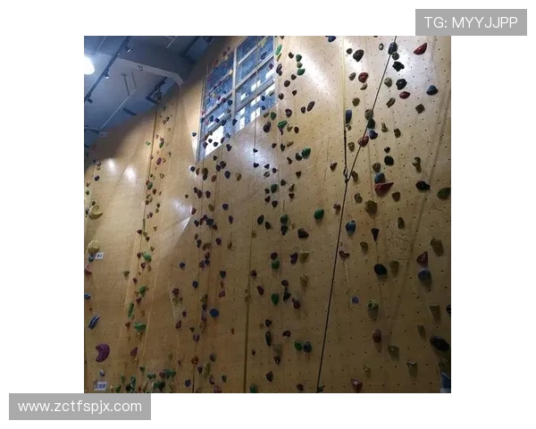 杭州攀岩队与南京攀岩队实力对比赛后分析与总结