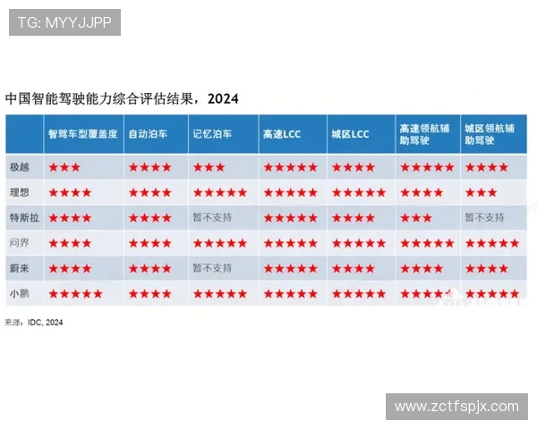 武汉飞盘队成员个人能力分析与表现评估研究报告