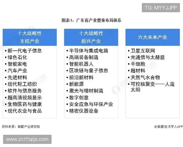 深度解析上海飞盘队实力对比与战术布局的全景分析 深度解析上海飞盘队实力对比与战术布局的全景分析